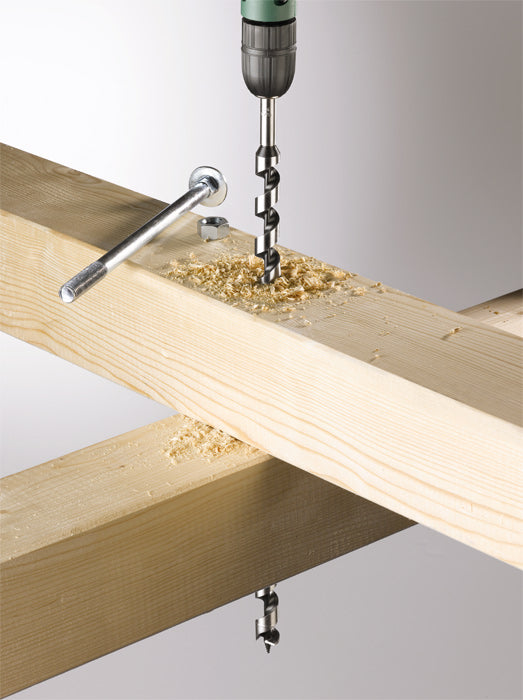 Schlangenbohrer