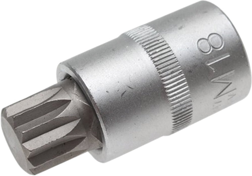 Vielzahnnuss 1/2" M16 x 55 mm