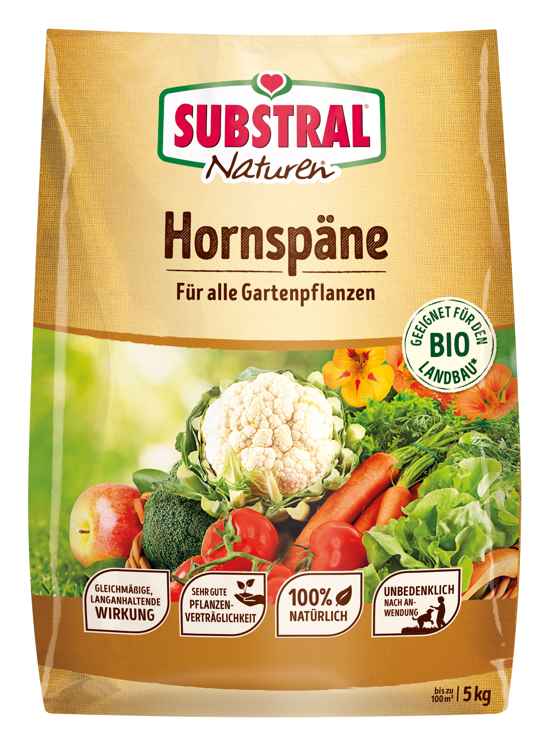 Hornspäne