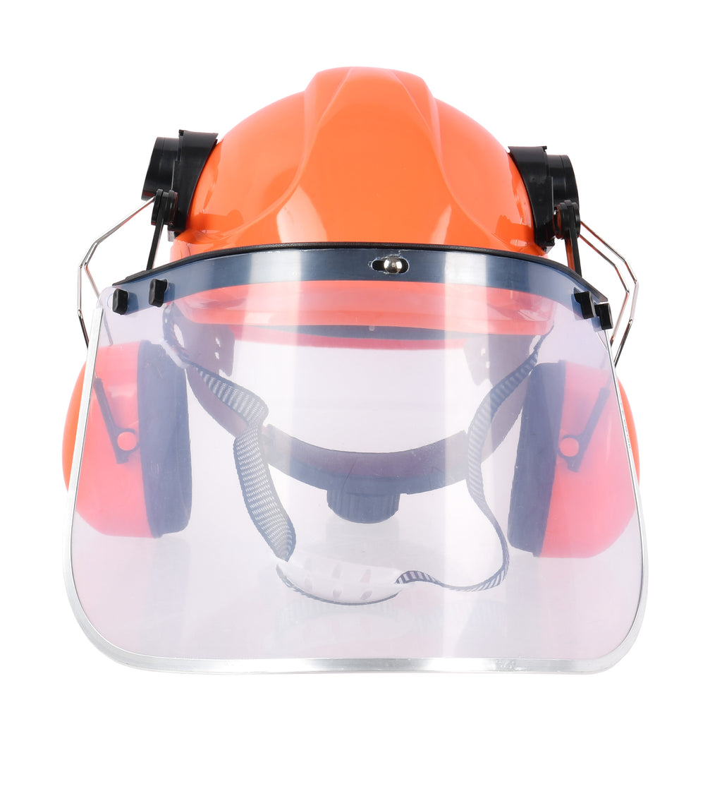 Forstschutzhelm