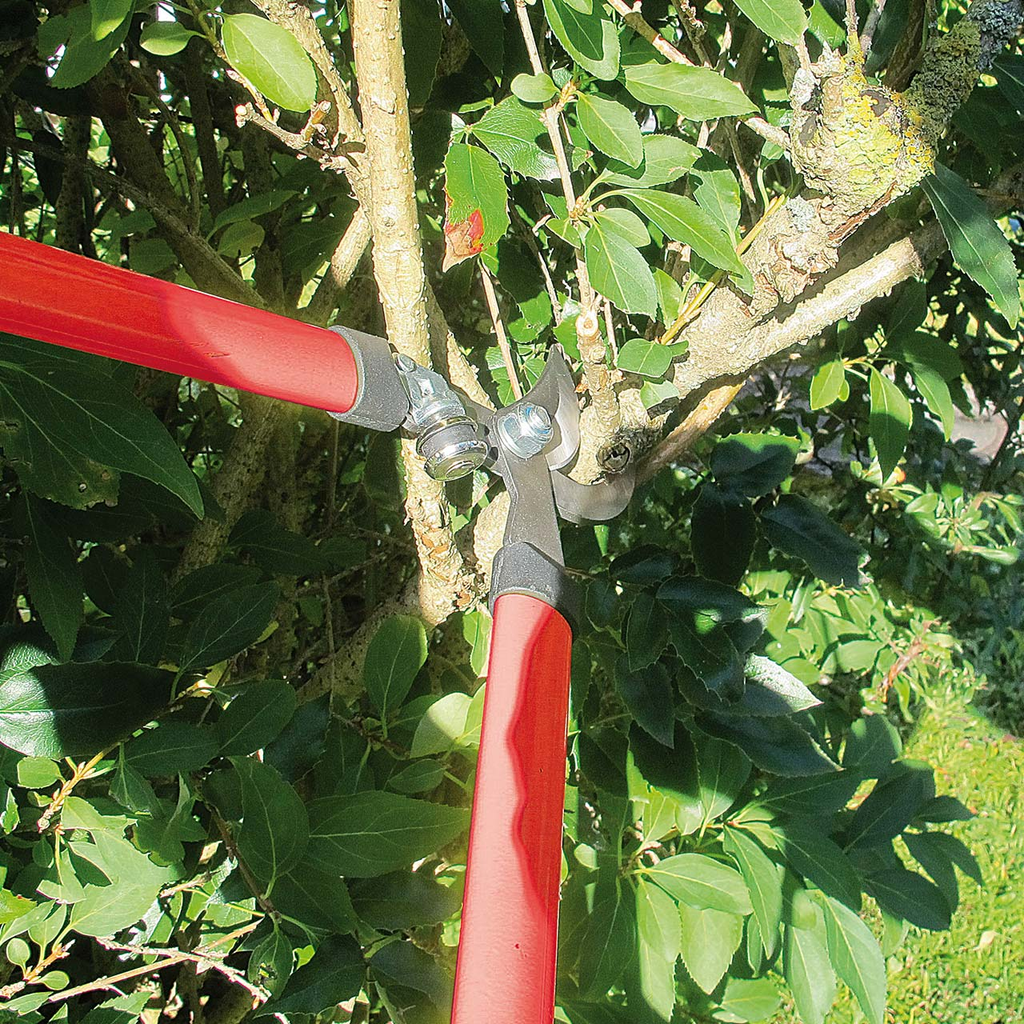 Gartenscheren Set 3-teilig
