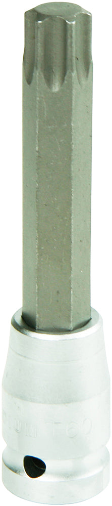 Torx-Nuss 1/2"