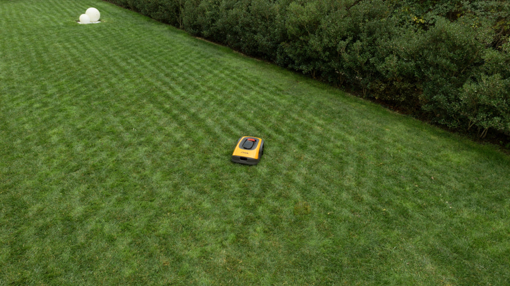 Autonomer Mähroboter A 1000