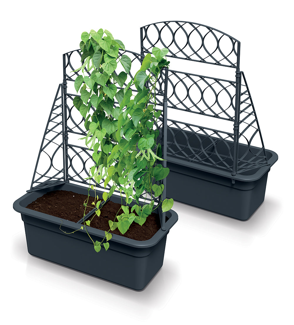 Pflanzgefäß mit Pergola Blom